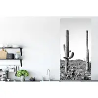 PosterMonkey Poster Cactussen - Zwart wit - Natuur - Landschap - 80x160 cm