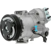 RIDEX 447K0247 Aircopomp
