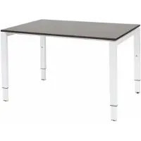 Schaffenburg Verstelbaar Bureau - Domino 120x80 logan - wit frame