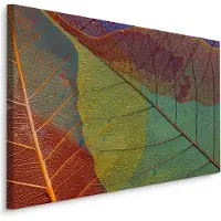 Karo-art Schilderij - Kleurrijke bladeren in herfstkleuren, premium print