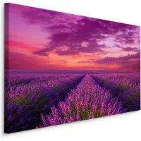 Karo-art Schilderij - Bloeiende lavendelveld, premium print