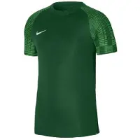 Nike Heren Academy Dri-FIT Jersey (Groen)