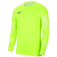 Nike Park IV Dri-FIT keeperstrui met lange mouwen voor kinderen/Kinderen (Groen)