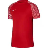 Nike Heren Academy Dri-FIT Jersey (Rood)