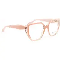 Ana Hickmann Optical Frame AH6558 C02 55