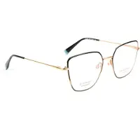 Ana Hickmann Optical Frame HI1263T 05A 53 Titanium
