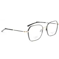 Ana Hickmann Optical Frame HI1246T 09A 54 Titanium