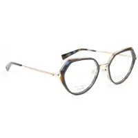 Ana Hickmann Optical Frame HI1250T H02 53 Titanium