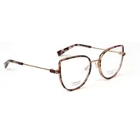 Ana Hickmann Optical Frame HI1208T G21 51 Titanium