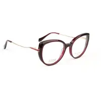 Ana Hickmann Optical Frame HI6334T T01 51 Titanium