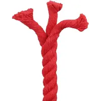 vidaXL Touw Rood 2,4 x 2,4 x 5000 cm Katoen
