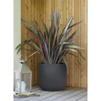 Poetic bloempot Basalt Up Egg antraciet - 37 L - 38,5 x 36,8 cm