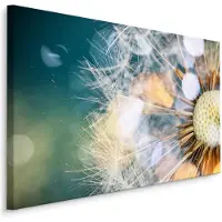 Karo-art Schilderij - Paardenbloem close-up, multi-gekleurd, 4 maten, wanddecoratie