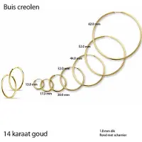 The Jewelry Collection oorringen Ronde Buis - Geelgoud