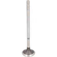 FEBI BILSTEIN 184142 Uitlaatklep