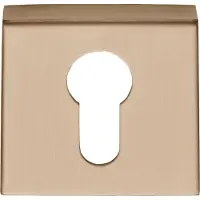 Formani Basics BSQY53 cilinderplaatje vierkant - PVD licht brons