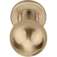 Formani Basics LB501V voordeurknop vast op rozet - PVD licht brons