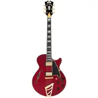 D'angelico Excel Ss Trans Cherry