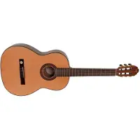 Vgs Klassieke Gitaar Pro Arte Gc 210 A 4/4
