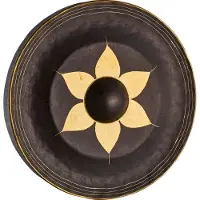 Sonic Energy 22" Thai Gong