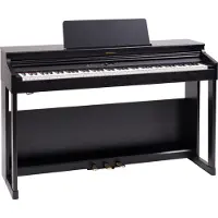 Roland RP-701 Zwart