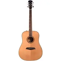 Sire Larry Carlton A4 Ds Nat