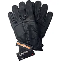 Thinsulate 3m Dunsulate lederen winterhandschoenen voor heren - Zwart
