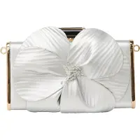 Faina Clutch goud / zilver