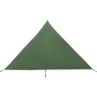 vidaXL Backpacking Tent Groen 222 x 85 x 125 cm