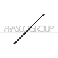 PRASCO DS7129055 Gasveer achterklep