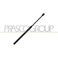 PRASCO RN4249055 Gasveer achterklep