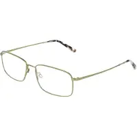 FLEXSON Flexon FLEXON H6080 Matte moss 56/17/145 MAN Brilmonturen