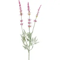 Easyplants | Kunsttak Lavendel 66 cm paars | Zijde | Nepbloemen | paars | Onderhoudsvrij | Kant-en-klaar