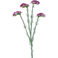 Easyplants | Kunsttak Statice 64 cm donkerpaars | Zijde | Nepbloemen | paars | Onderhoudsvrij | Kant-en-klaar