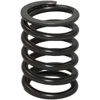 Bukh Dv24/29/36/48 Valve Spring Zilver