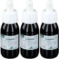 Soriabel Soria Natural Composor 24 Vesicor XXI 3x50 ml Druppels