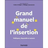 Dunod Grand manuel de l'insertion