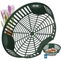 KOTARBAU Bloembollenmand, ⌀ 320 mm, Groen, Plantenmand Voor Bloembollen, Bollenmanden Rond, Kweekmand van Kunststof, Bloembollen Schaal