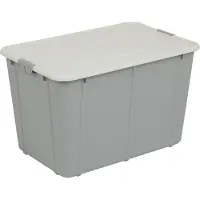 BranQ Velur - Opslagcontainer met deksel 60L - Opberger - lichtgrijs