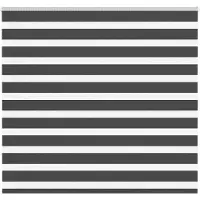 vidaXL Zebra rolgordijn 155x100 cm stofbreedte 150,9 cm zwart