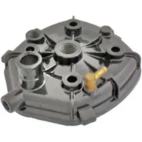 RMS Beauty Ape Tm 703 2886714/2886712 100070124 Cilinderkop