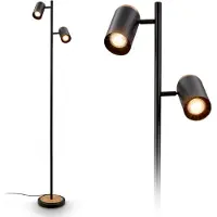 Briloner Vloerlamp Duta, zwart, Woon-/ Eetkamer, metaal, Modern, vloerlamp