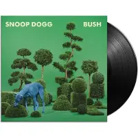 Sony Bush