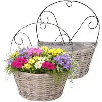 Mega Collections Plantenmand muurhanger Assen - 2x - grijs - H40 cm - wilg - bloempot/plantenpot