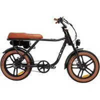 Bohlt Rebel - Elektrische Fatbike - 20 inch - 627Wh Uitneembare Accu - Gates Belt Drive - tot 25 km/u - Actieradius tot 85 km - Zwart