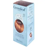 Greenleaf 100% Organische Haarkleur 100 g (Kleuren : Blond)