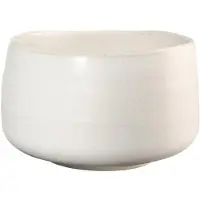 Asa selection Kom Moribana Hasu White 12 cm