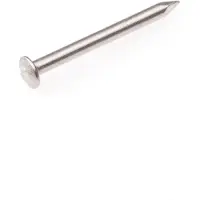 Homefix Spijker. RVS. 1.6 x 25mm. Lang. Rondkop. Bombekop 350 gram.