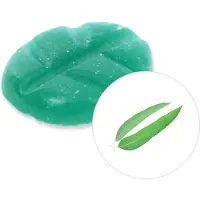 Scentchips Eucalyptus - Geurblokjes - Huisparfum - Geurchips - Waxmelts - Geschikt voor Geurbrander en Waxbrander - XXL - 144 Stuks