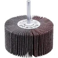 Wolfcraft Rotorslijper | K80 | Ø80 x 40mm | 1 stuk - 2034000